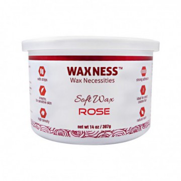 Waxness Depilatory Soft Wax...